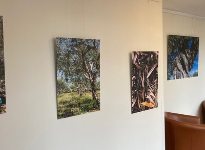 Kurzer Text zum Bild