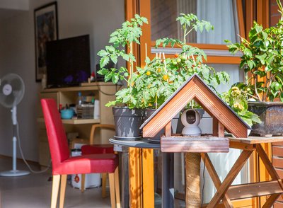 Sich zu Hause fühlen