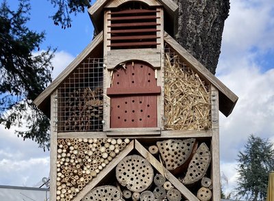 Kurzer Text zum Bild